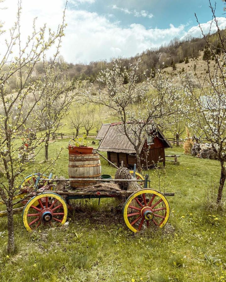Log Cabin Uvac Nova Varoš Kamer foto