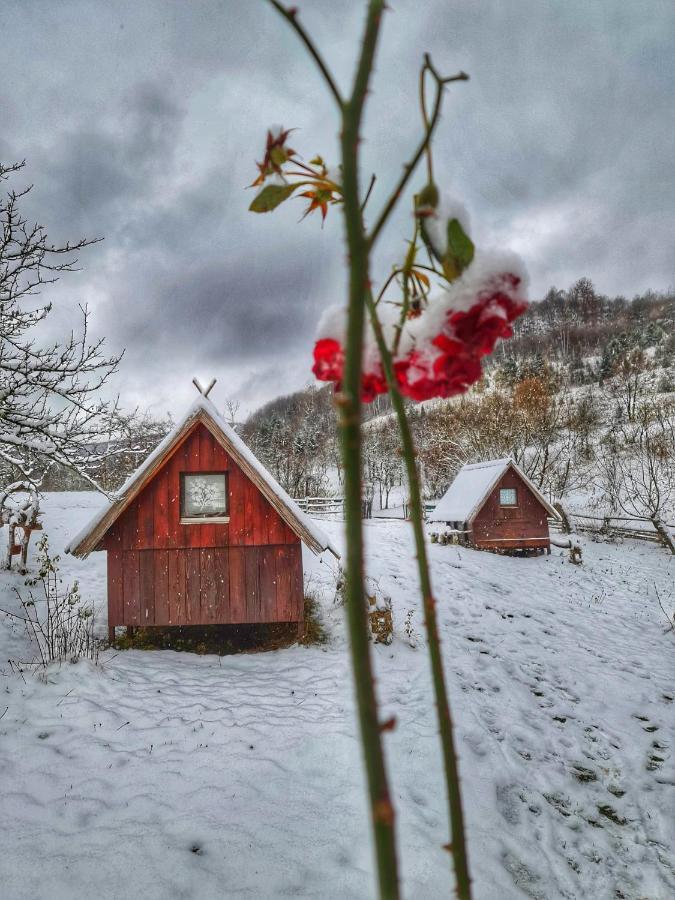 Log Cabin Uvac Nova Varoš Buitenkant foto