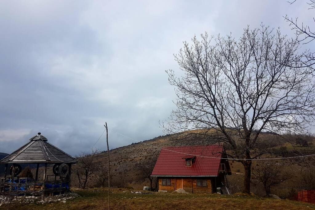 Log Cabin Uvac Nova Varoš Buitenkant foto