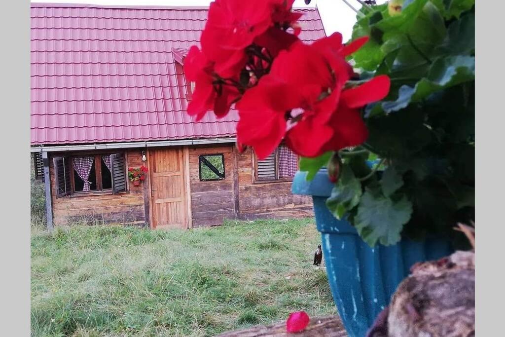 Log Cabin Uvac Nova Varoš Buitenkant foto
