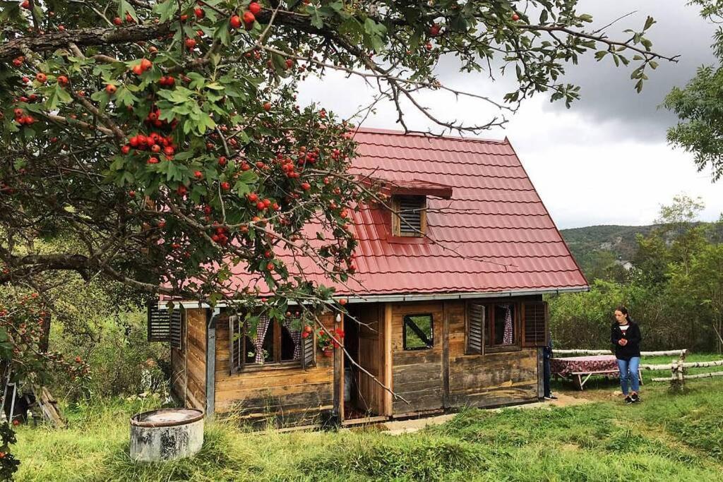 Log Cabin Uvac Nova Varoš Buitenkant foto